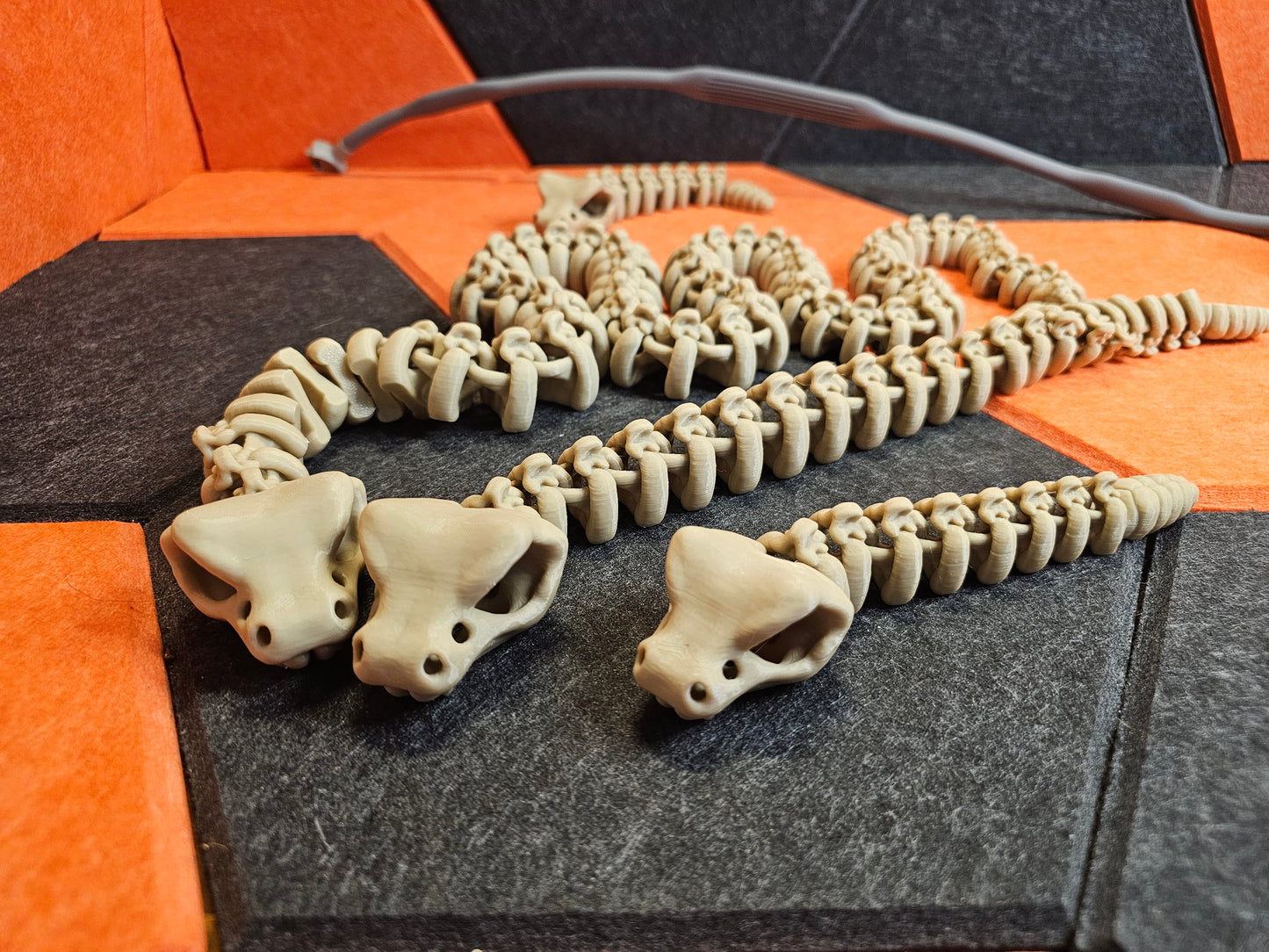 Skeleton Rattlesnake